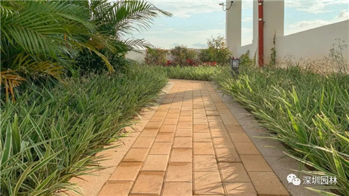 雖然這是座醫院,但景觀美的不像話!