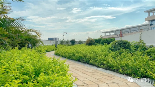 雖然這是座醫院,但景觀美的不像話!