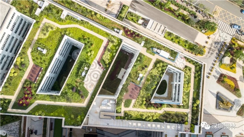 雖然這是座醫院,但景觀美的不像話!