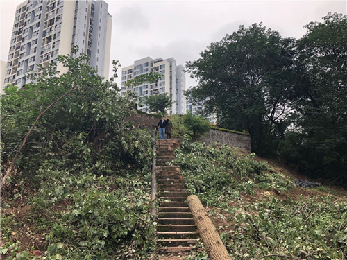 深圳美溪景觀作品丨重慶大水井體育文化公園