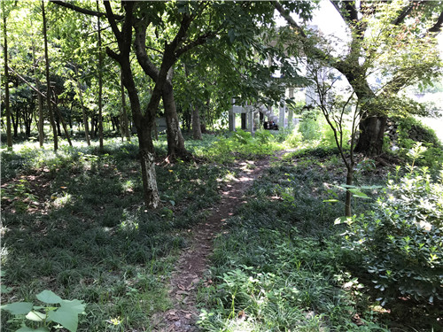 深圳美溪景觀作品丨重慶大水井體育文化公園