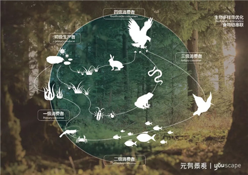 蜀國新天府，秀色看簡州——成都龍升公園