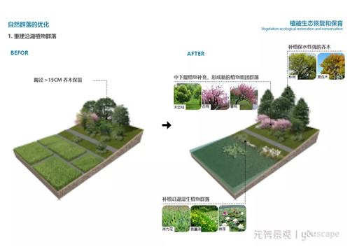 蜀國新天府，秀色看簡州——成都龍升公園