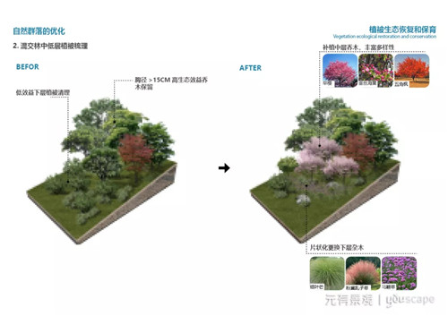 蜀國新天府，秀色看簡州——成都龍升公園