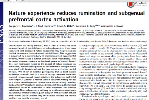 邊春霖:健康城市·健康園藝·健康人