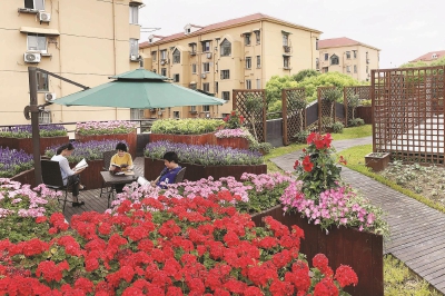 上海在城市更新中大力推廣立體綠化(多圖)