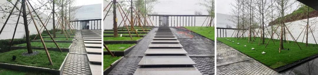 2019園冶杯專業獎丨萬科 · 夢想之光