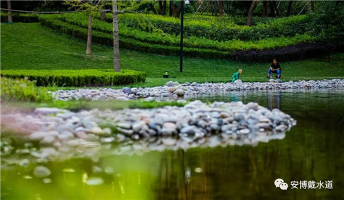 Ramboll Share | 國(guó)銳金嵿生態(tài)公園社區(qū)-環(huán)境友好型景觀設(shè)計(jì)與雨洪管理實(shí)踐