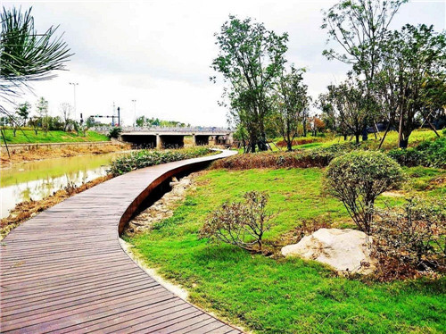 2019園冶杯專業(yè)獎(jiǎng)丨蘇滁現(xiàn)代產(chǎn)業(yè)園第二批綠化景觀工程