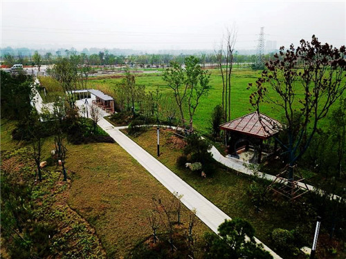 2019園冶杯專業(yè)獎(jiǎng)丨蘇滁現(xiàn)代產(chǎn)業(yè)園第二批綠化景觀工程