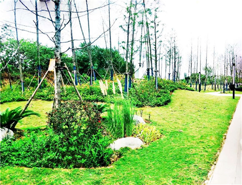 2019園冶杯專業(yè)獎(jiǎng)丨蘇滁現(xiàn)代產(chǎn)業(yè)園第二批綠化景觀工程