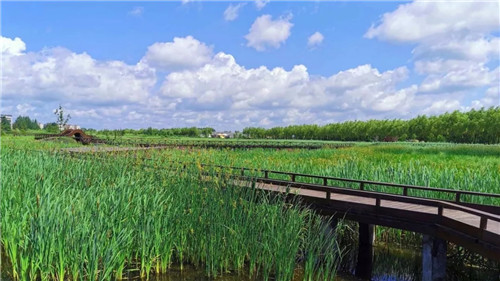 2019園冶杯專業(yè)獎丨樺南幸福濕地公園景觀設(shè)計