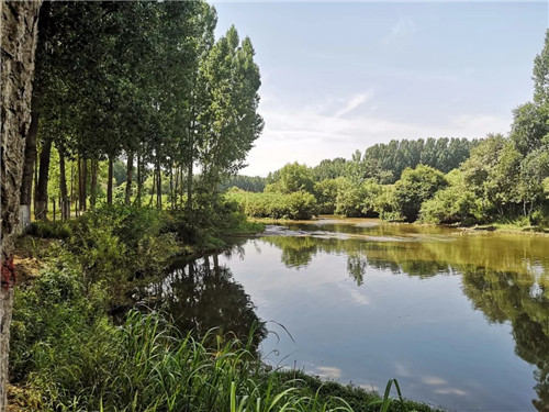 2019園冶杯專業獎丨灃河綜合治理二期西漢高速—G310國道景觀設計