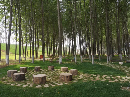 2019園冶杯專業獎丨灃河綜合治理二期西漢高速—G310國道景觀設計