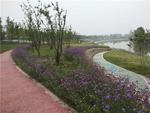 2019園冶杯專業獎丨灃河綜合治理二期西漢高速—G310國道景觀設計