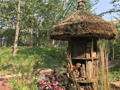 北京:歷史文化街區展開新畫卷