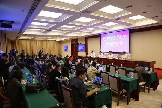 《大熊貓國家公園總體規劃》編制完成