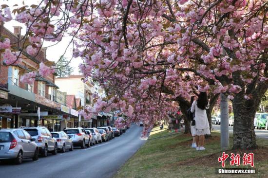 吸引亞洲買家 澳大利亞新興建筑注重風水
