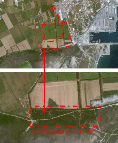 園冶杯專業獎:City of Dreams Mediterranean