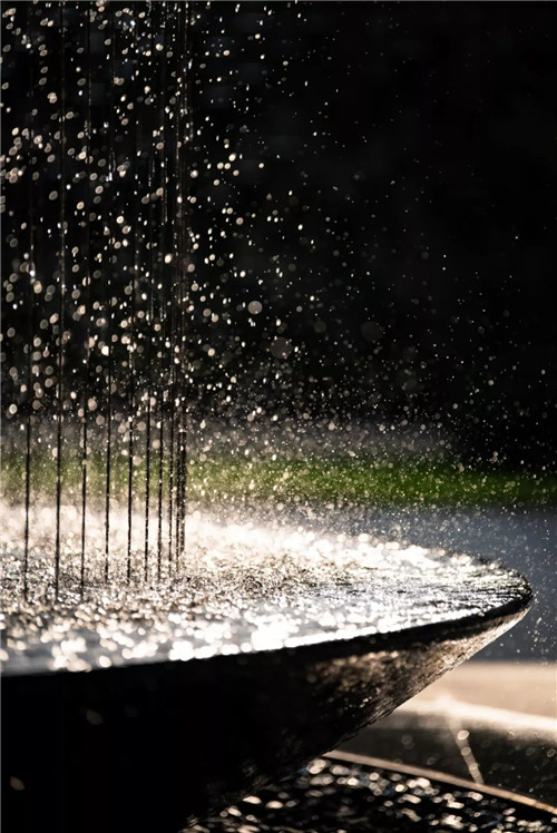 一只魚的自我意識 | 鎮江中南聆江閣