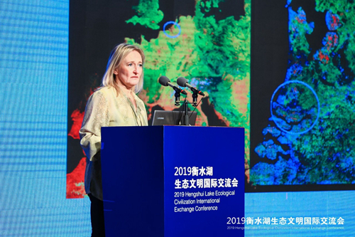 十余國知名專家衡水論劍 共話湖城生態文明建設之路