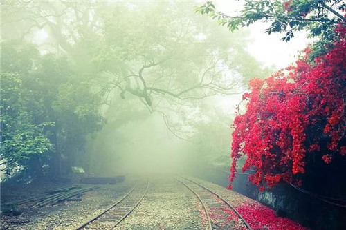 是鐵路也是風景：線性文化遺產的活化利用