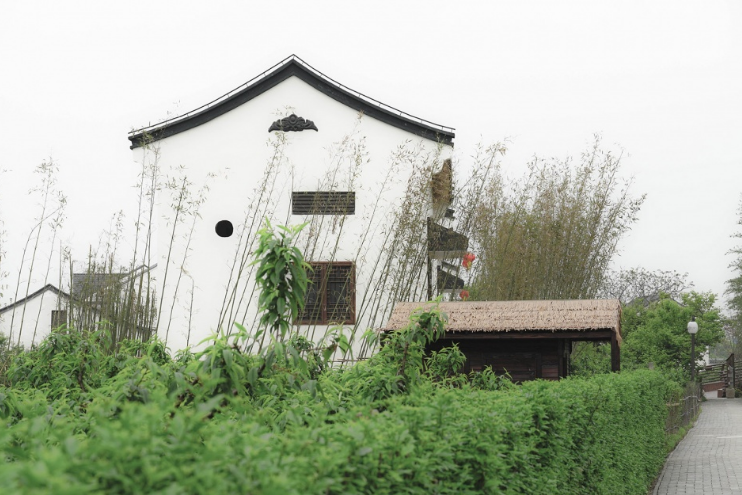 從老屋殘巷到網紅盛景——傳統村落的保護與活化