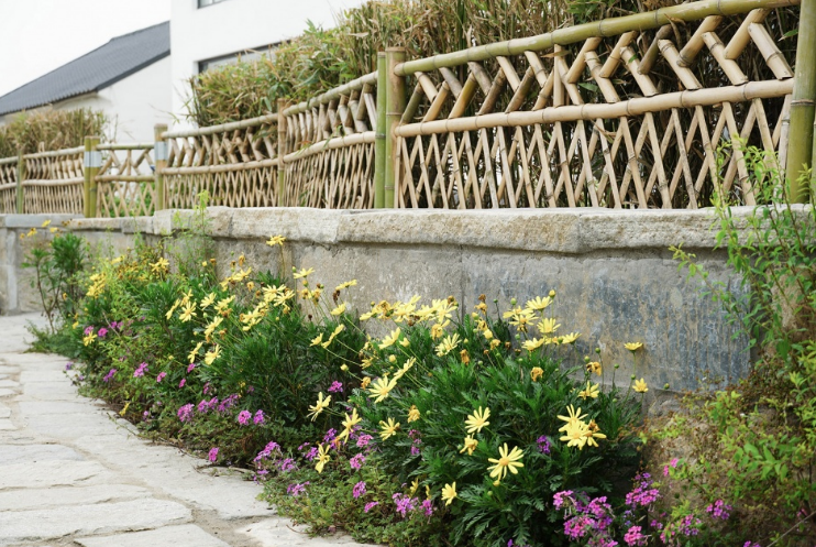 從老屋殘巷到網紅盛景——傳統村落的保護與活化