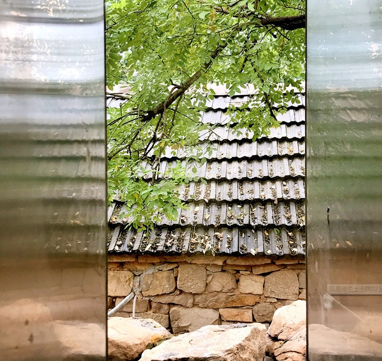 從老屋殘巷到網紅盛景——傳統村落的保護與活化