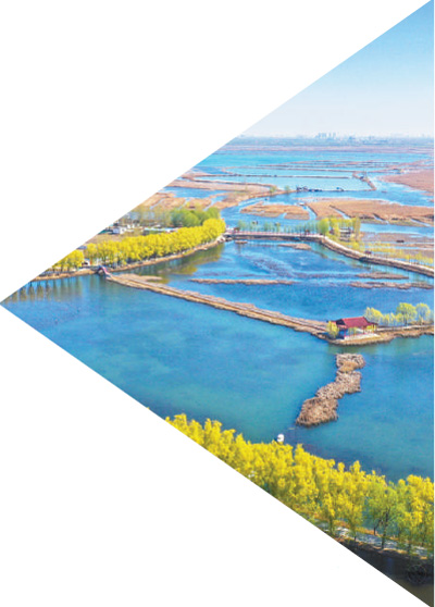 段進院士:科學規劃讓城市更美好