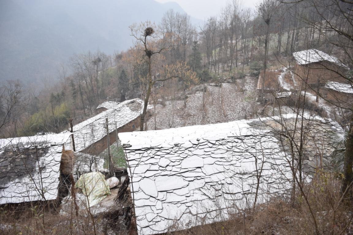 園冶杯一等獎(jiǎng)朱文豪：一粒沙中見世界，一座村中見故鄉(xiāng)