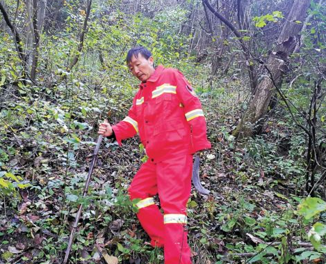 熊學政:一輩子只做護林這一件事