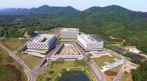 韓冬青:建筑更加安全的城市