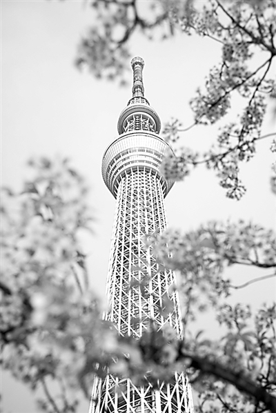 日本的實踐:深度老齡化社會的國土空間規劃