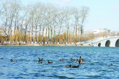 北京:公園游客分散秩序井然