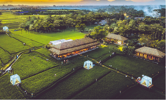成都郫都區(qū):書寫公園城市特質(zhì) 繪就天府勝景