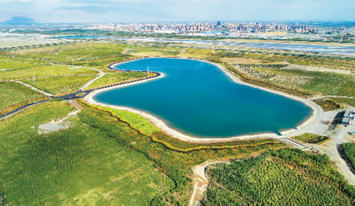 沙區生態治理不只是“挖坑栽樹”