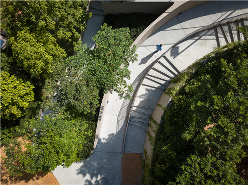 園冶杯專業獎|熱帶度假勝地——“共享天空”