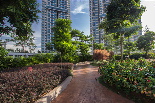 園冶杯專業獎|熱帶度假勝地——“共享天空”