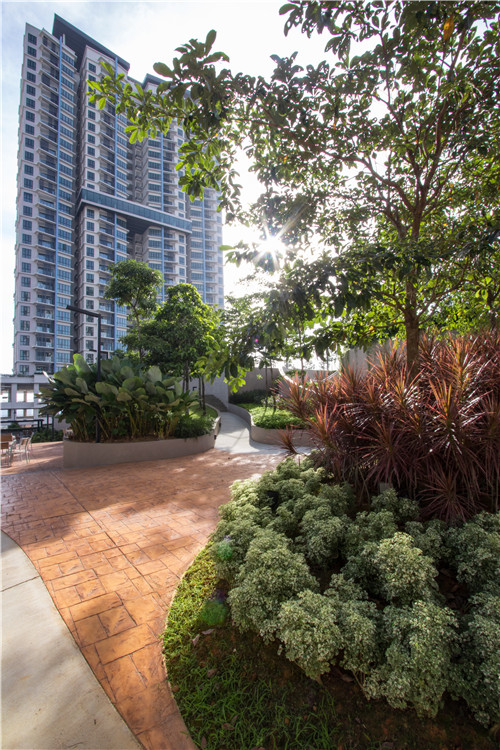 園冶杯專業獎|熱帶度假勝地——“共享天空”