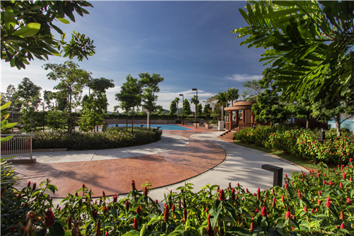 園冶杯專業獎|熱帶度假勝地——“共享天空”