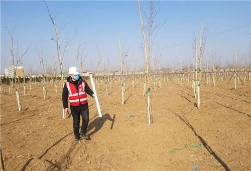 面對疫情，中建五局園林青年不一young！
