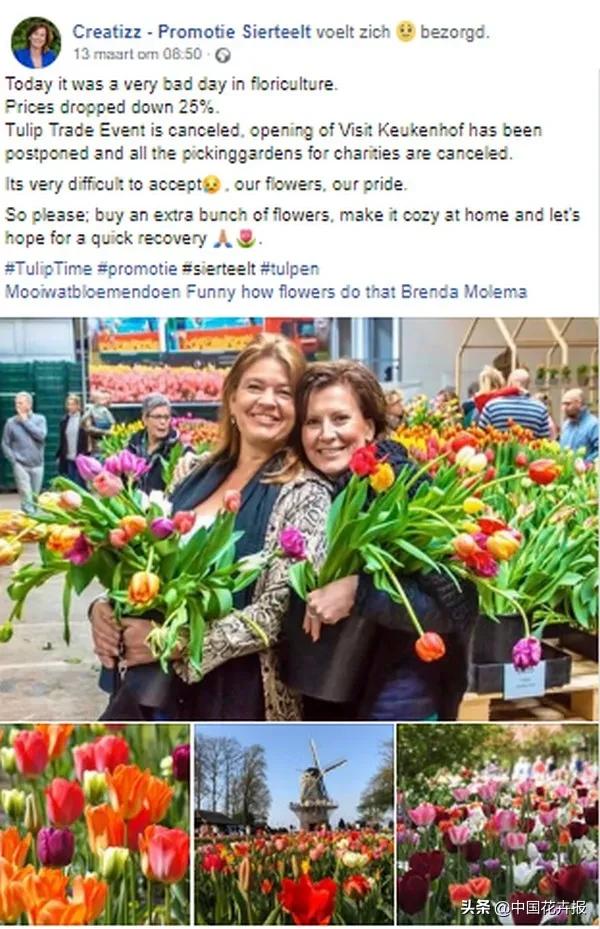 大量國(guó)際花展取消，眾多國(guó)家花企深陷困境