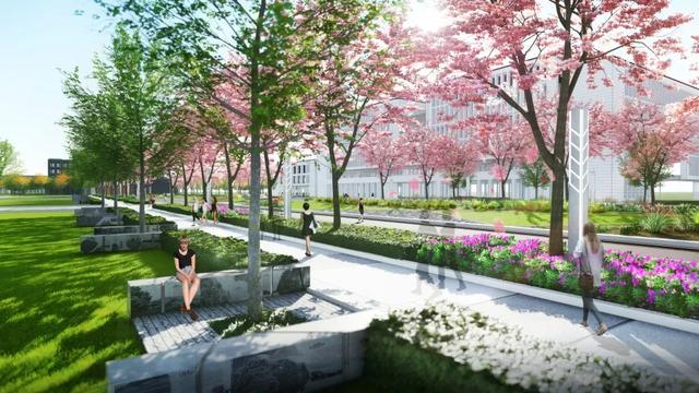 同濟設計集團中標南京農大景觀設計項目