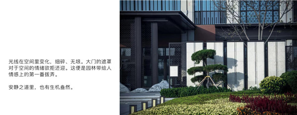 回歸初心，因“和”而來——南海·雁歸來