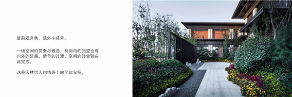 回歸初心，因“和”而來——南海·雁歸來