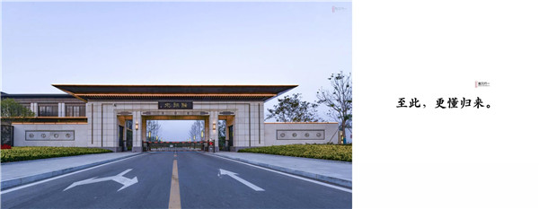 回歸初心，因“和”而來——南海·雁歸來