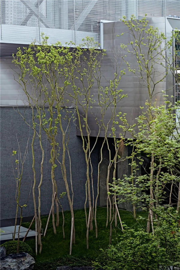 承跡景觀|重慶融創曲水風和