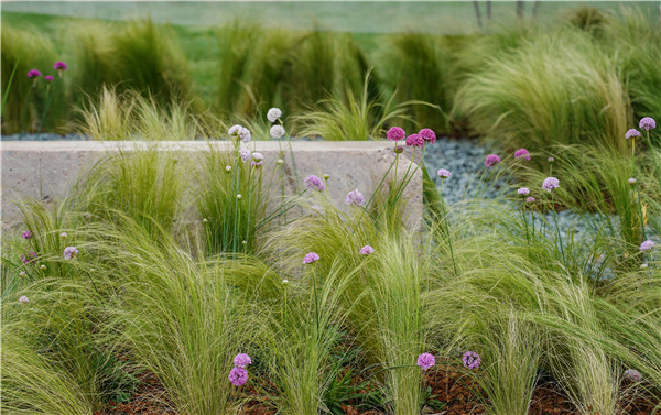 慢客景觀丨2020世界花園大會“江南水里”展園