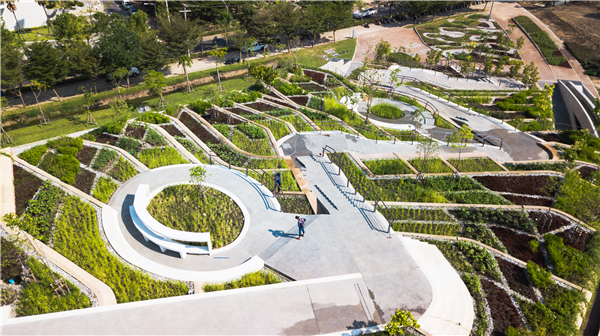 泰國國立法政大學城市屋頂農場